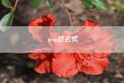 scan过去式!can用在一般过去时中行吗
