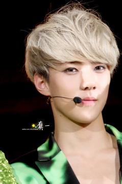 exo吴世勋张艺兴（吴世勋为什么叫风神大人）